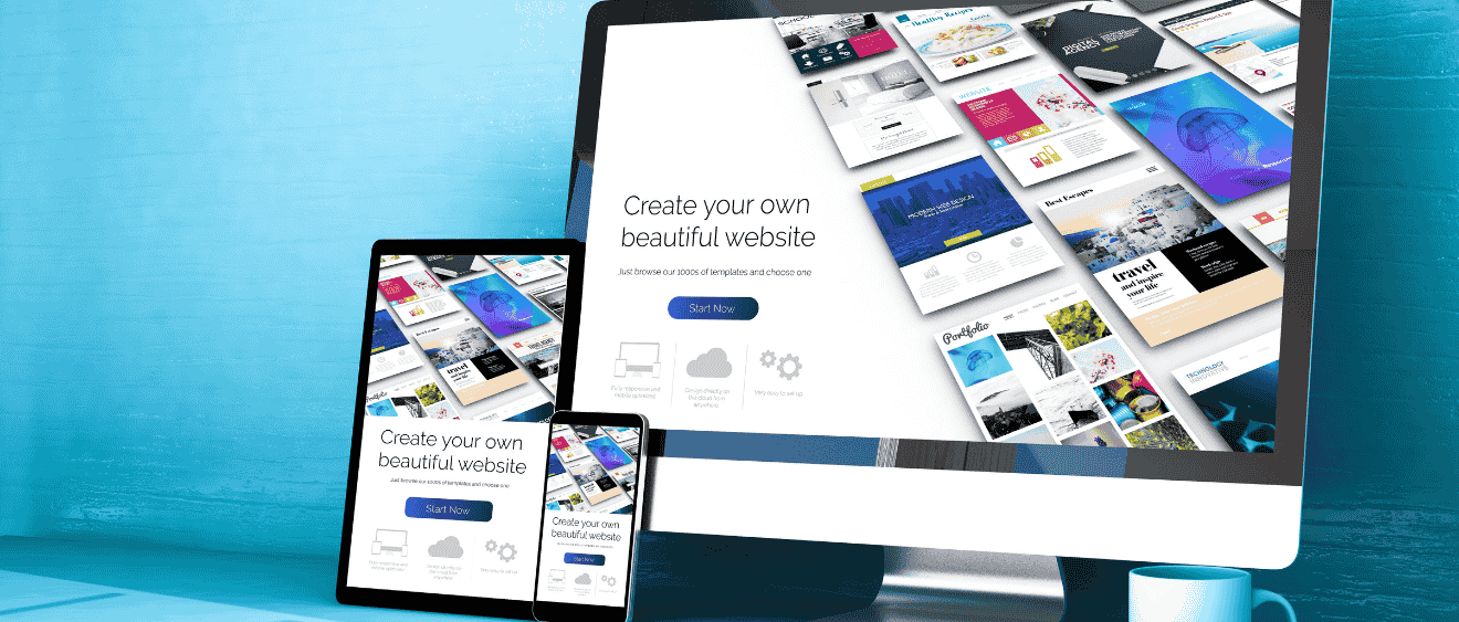 web design and development services